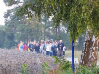 Płoki 2015 17.jpg