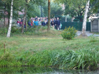 Płoki 2015 31.jpg