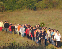 Płoki 2015 29.jpg