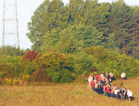 Płoki 2015 25.jpg