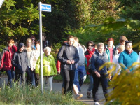Płoki 2015 35.jpg