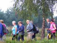 Płoki 2016_8.JPG