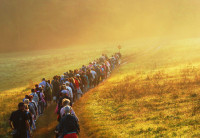Płoki 2016_11.JPG