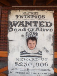 Twinpigs 6.jpg