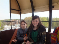Twinpigs 9.jpg