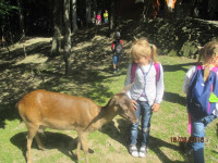 Leśny Park 4.jpg
