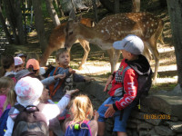 Leśny Park 5.jpg