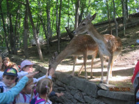 Leśny Park 1.jpg