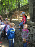 Leśny Park 2.jpg
