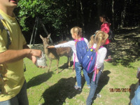 Leśny Park 3.jpg