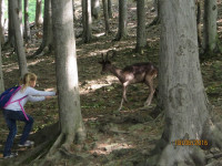Leśny Park 8.jpg