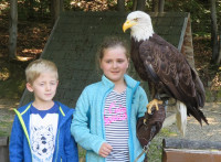 Leśny Park 17.jpg