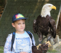 Leśny Park 22.jpg