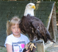 Leśny Park 23.jpg