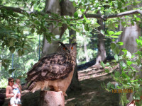Leśny Park 35.jpg