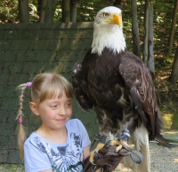 Leśny Park 31.jpg