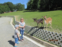 Leśny Park 42.jpg